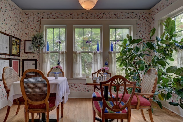 dining space featuring light hardwood / wood-style floors and a wealth of natural light