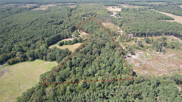 00 Plainview Rd, Pineland, TX 75968 - photo 1