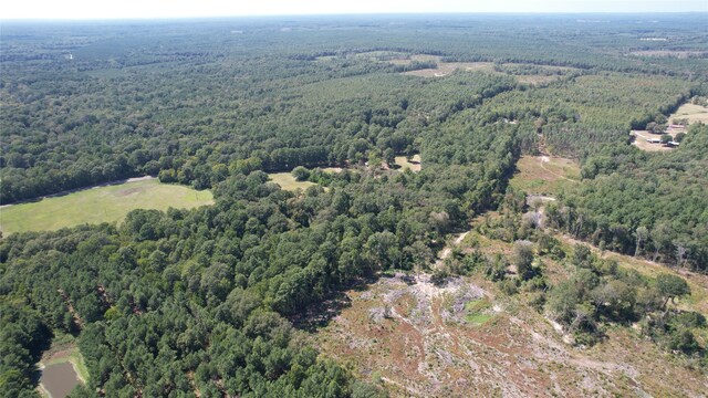 00 Plainview Rd, Pineland, TX 75968 - photo 5