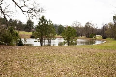 135 N Forest Dr, Huntsville TX, 77340 land for sale