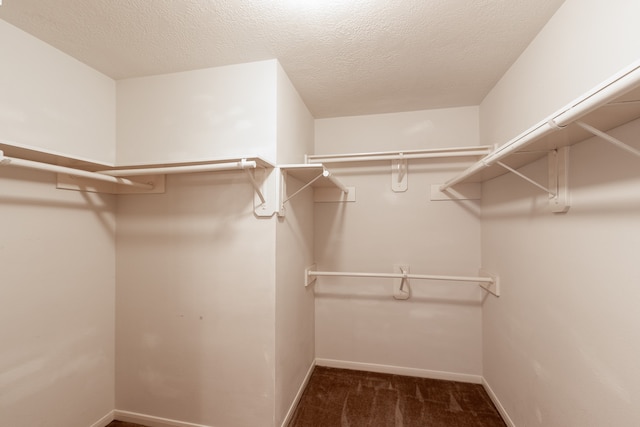 spacious closet with dark colored carpet