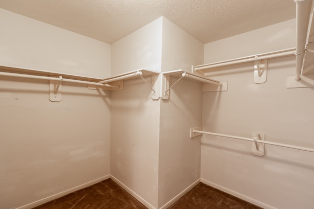 spacious closet featuring dark colored carpet