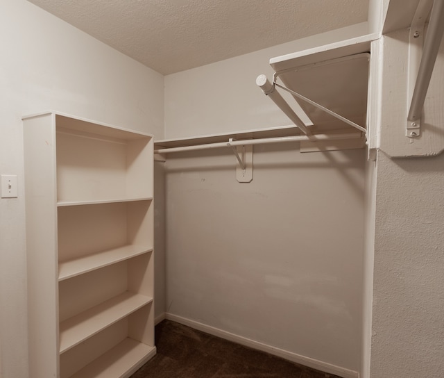 spacious closet with dark colored carpet