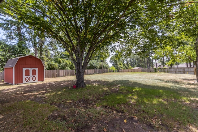 view of yard featuring a storage shed