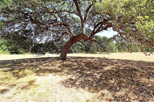 Listing photo 2 for TBD County Road 245, Weimar TX 78962