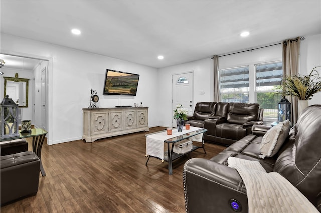 living room with dark hardwood / wood-style floors