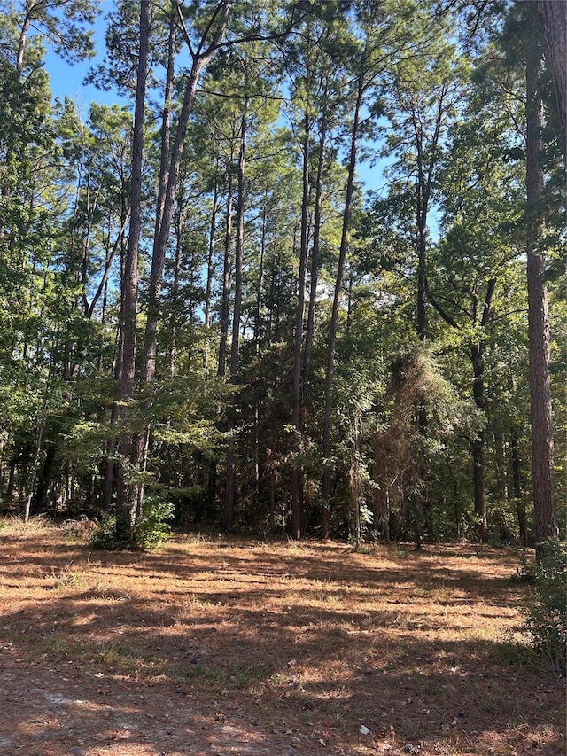 TR12 Grand Pine Loop, Livingston TX, 77351 land for sale