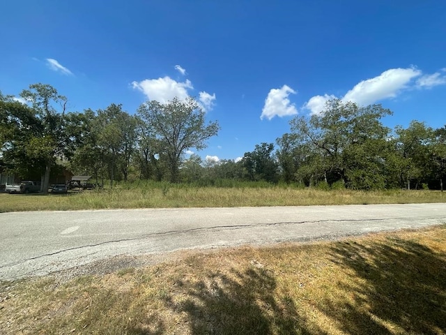 Listing photo 2 for 0 Carroll Rd, Richmond TX 77469