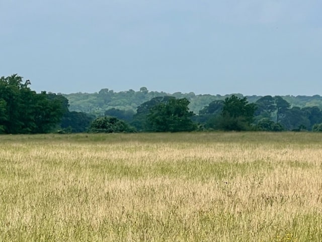 38ACRES Shaws Bend Rd, Columbus TX, 78934 land for sale