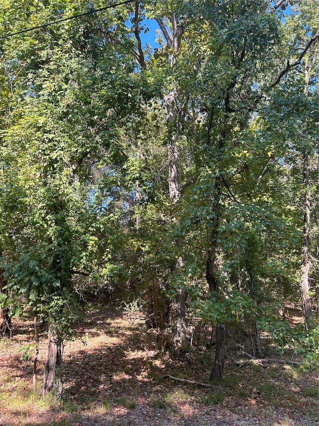 TBD Joanna Hill, Livingston TX, 77351 land for sale