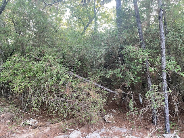 Listing photo 2 for TBD Peach Dr, Huntsville TX 77320