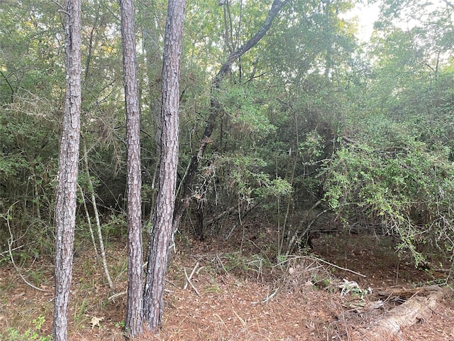 Listing photo 3 for TBD Peach Dr, Huntsville TX 77320