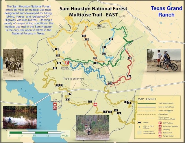 Listing photo 3 for TBD Sundog Rd, Huntsville TX 77340