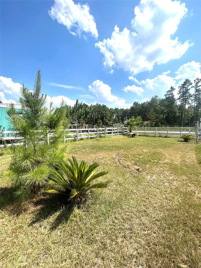 view of yard with a rural view