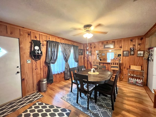 dining area with light hardwood / wood-style flooring, a textured ceiling, ceiling fan, and wooden walls