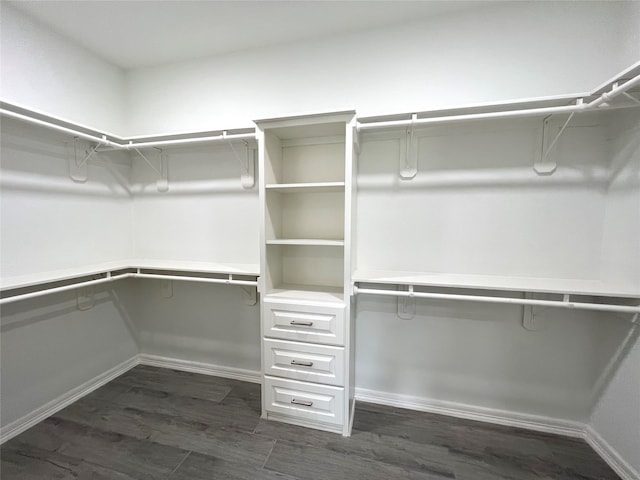 walk in closet featuring dark hardwood / wood-style flooring