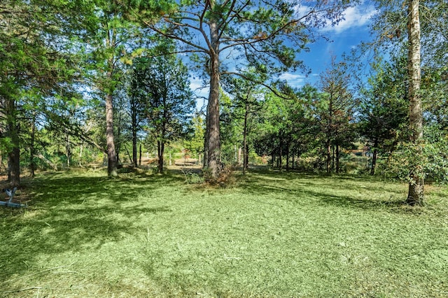 Listing photo 3 for 26209 Moose Dr, Hempstead TX 77445