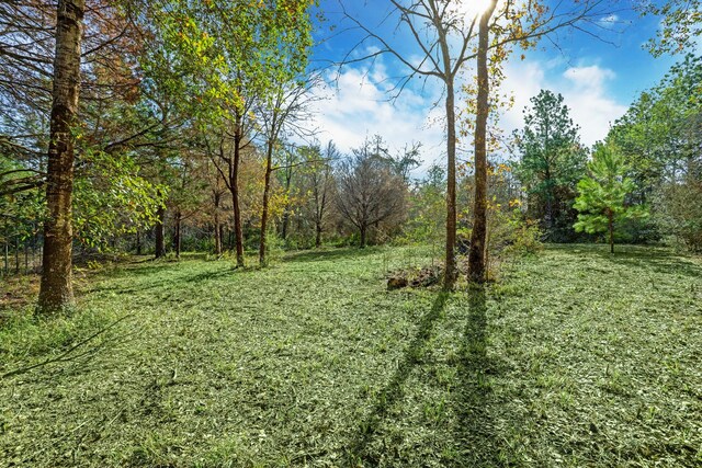 26209 Moose Dr, Hempstead, TX 77445 - photo 4