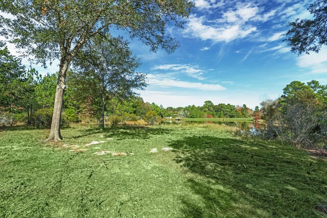 26209 Moose Dr, Hempstead, TX 77445 - photo 6