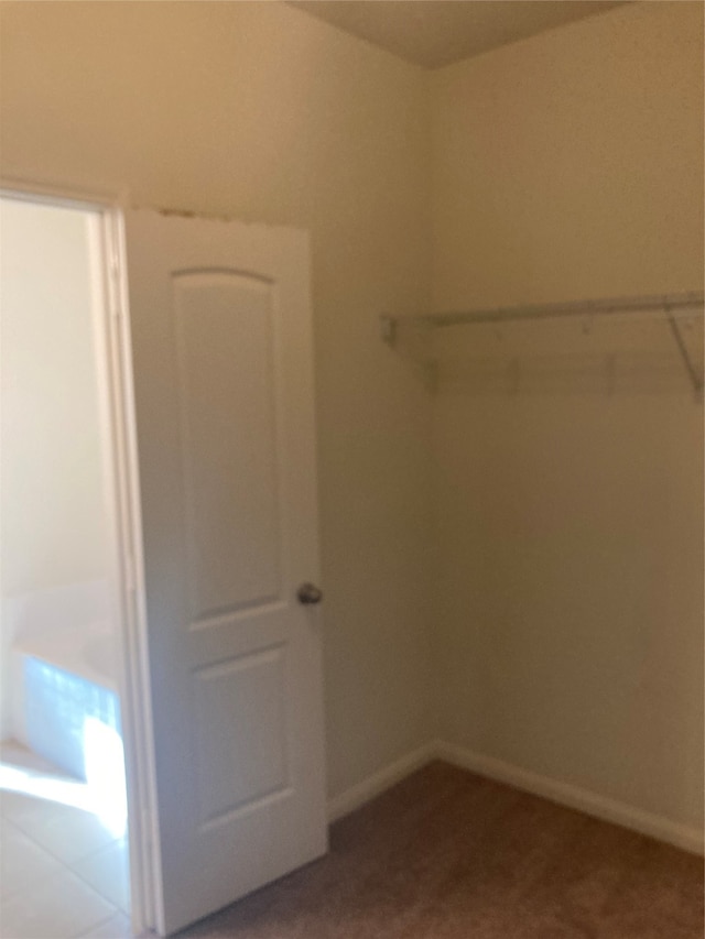 view of walk in closet