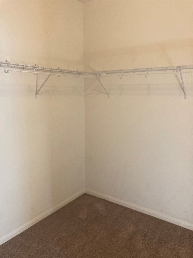 walk in closet with carpet