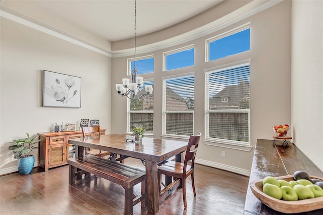 dining room featuring an inviting chandelier, a wealth of natural light, dark hardwood / wood-style floors, and a tray ceiling