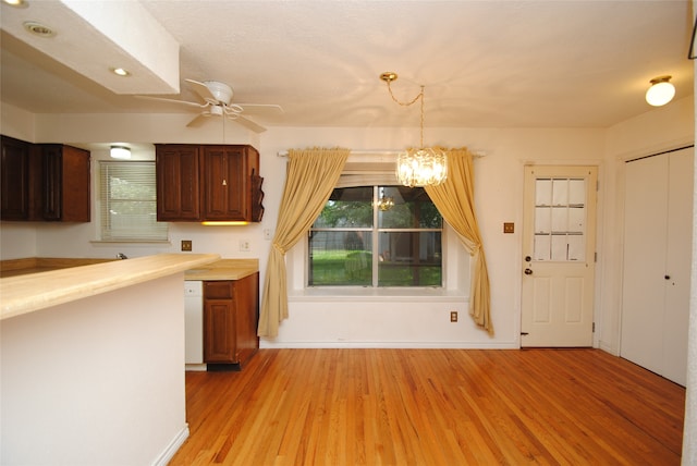 kitchen featuring pendant lighting, dishwasher, ceiling fan with notable chandelier, and light hardwood / wood-style flooring