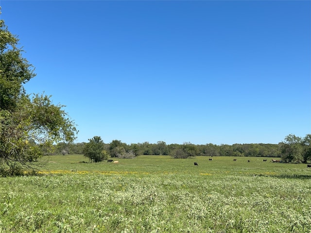 0000TBD Jackson Rd, Montgomery TX, 77316 land for sale