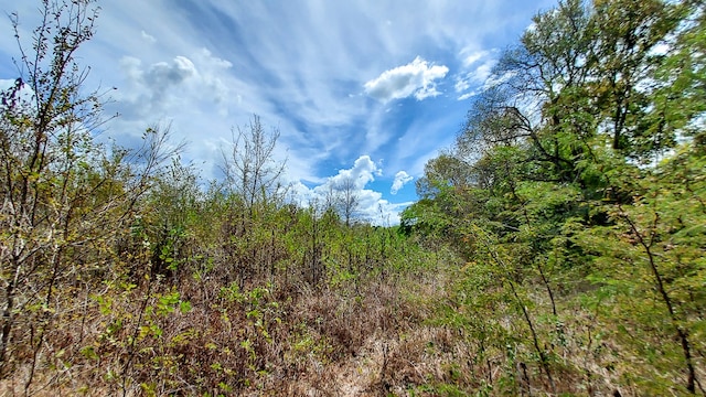 0 Chandler Way, Huntsville TX, 77320 land for sale