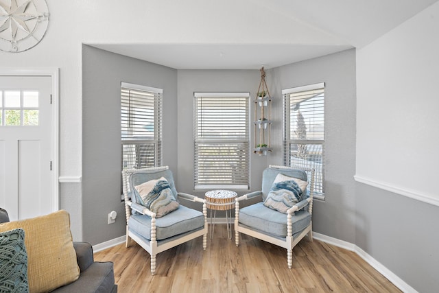 living area featuring light hardwood / wood-style floors