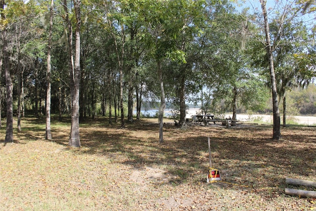 Listing photo 2 for TBD Sean Ct, Cleveland TX 77327