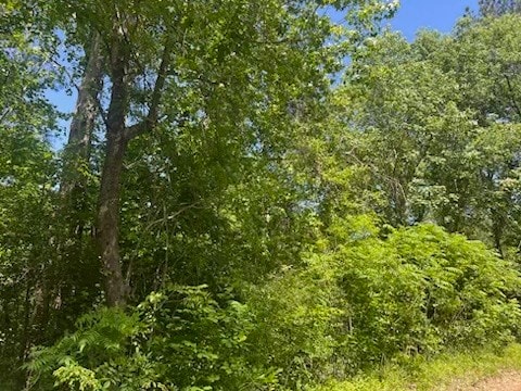 TBD W Crystal Lks, Livingston TX, 77351 land for sale