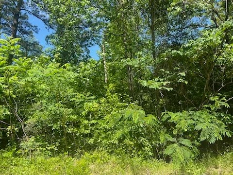 Listing photo 2 for TBD W Crystal Lks, Livingston TX 77351