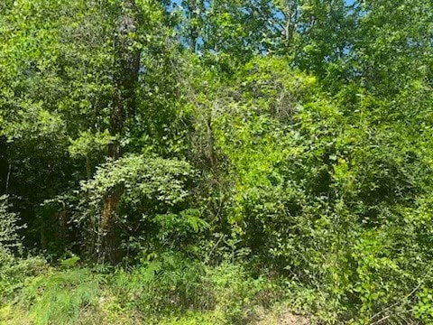 Listing photo 3 for TBD W Crystal Lks, Livingston TX 77351