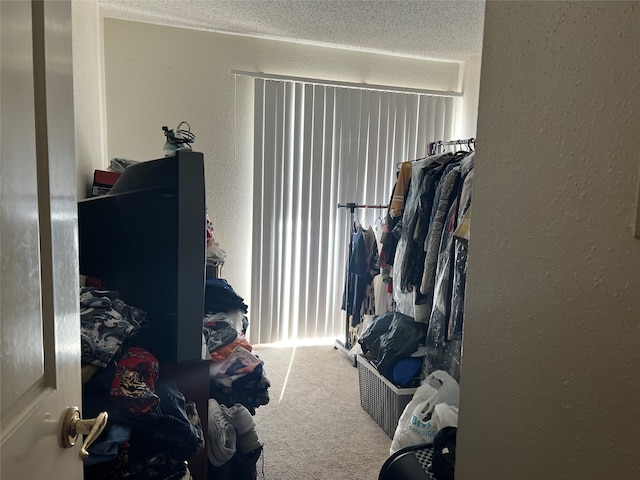 spacious closet with carpet