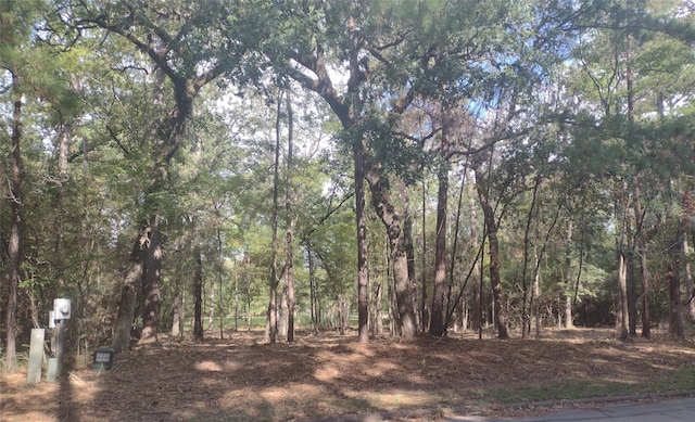 Listing photo 3 for TBD Doral Dr, Huntsville TX 77320