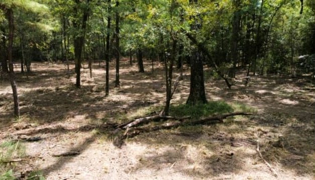 TBD Doral Dr, Huntsville TX, 77320 land for sale