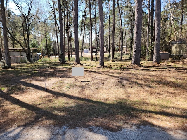 Listing photo 3 for 000 Canadian Dr, Trinity TX 75862