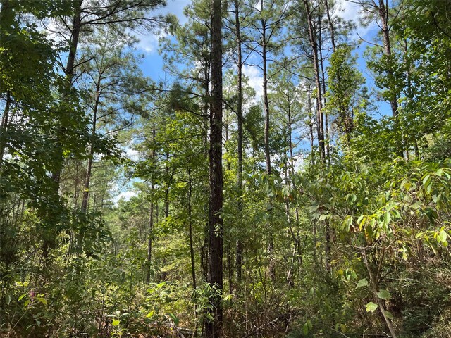 07 Fm 247, Huntsville, TX 77320 - photo 2
