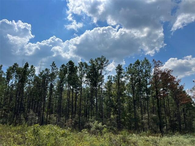 07 Fm 247, Huntsville, TX 77320 - photo 3