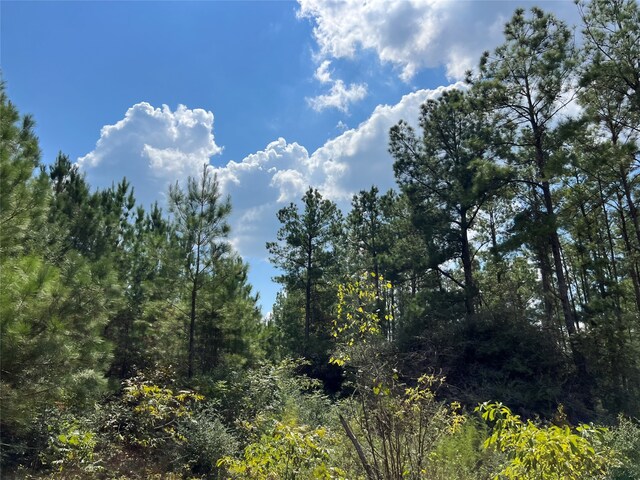 07 Fm 247, Huntsville, TX 77320 - photo 4