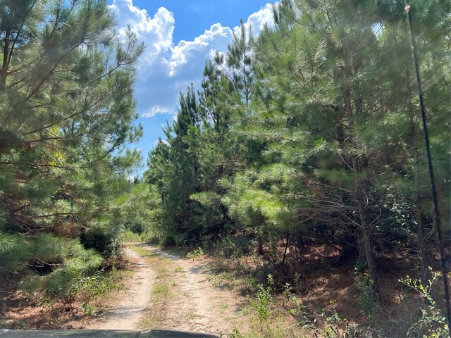 07 Fm 247, Huntsville, TX 77320 - photo 5