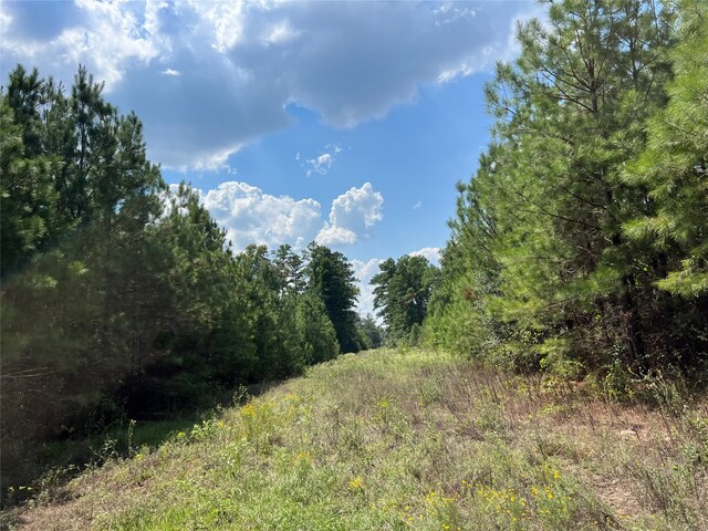07 Fm 247, Huntsville, TX 77320 - photo 6