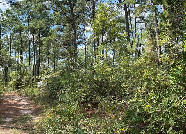 07 Fm 247, Huntsville, TX 77320 - photo 8