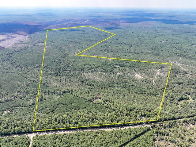 07 Fm 247, Huntsville, TX 77320 - photo 1