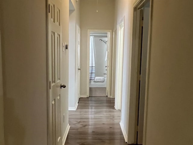 hallway with light hardwood / wood-style floors