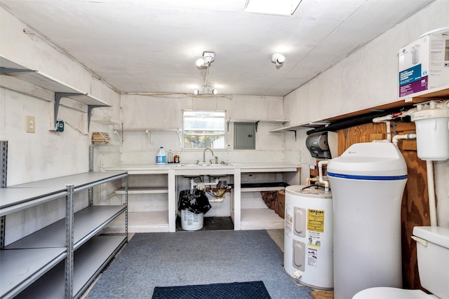 351 Trinity Dr, Trinity, TX 75862 - below grade area with carpet floors, a sink, and electric panel