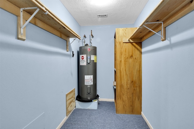 spacious closet with electric water heater and carpet floors