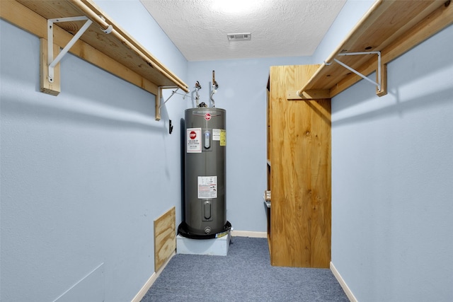 351 Trinity Dr, Trinity, TX 75862 - utility room with visible vents and electric water heater