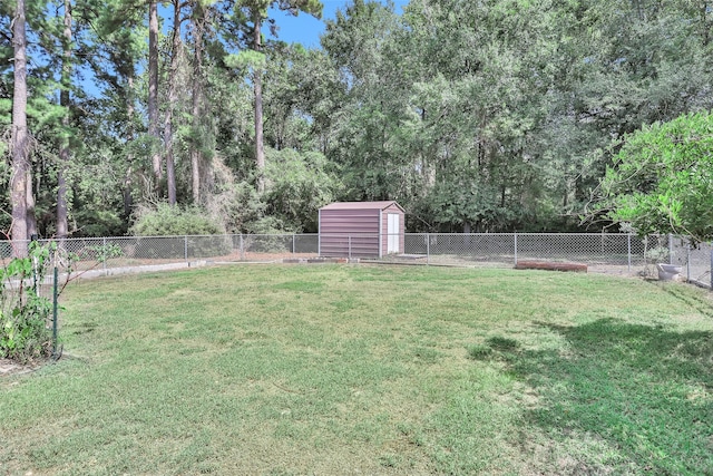 view of yard featuring a shed